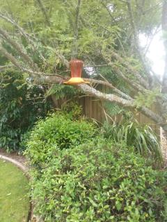 Cabourne Cottage - 7