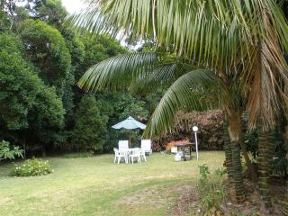 The Broken Banyan - 6