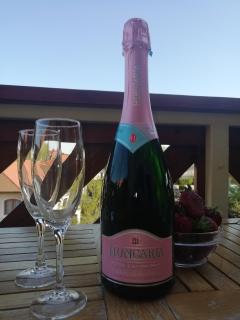 Plázs Apartman Balatonlelle - 2