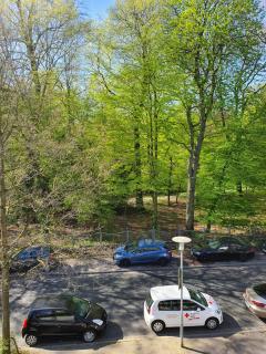 Apartment mit Blick auf das Eversten Holz 42qm - Oldemburgo - 5