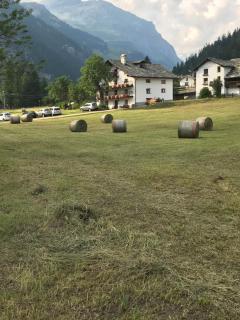 Flora Alpina apartments-Residenza Verdebjo - Gressoney-Saint-Jean - 0