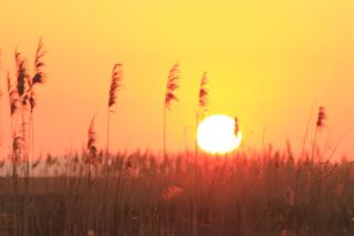 Casa de Vacanta Sarinasuf - 2