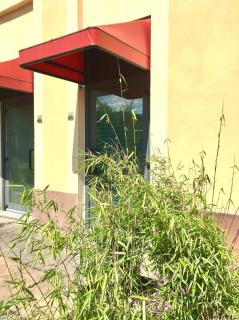 Hotel Barrage - Pinerolo - 5