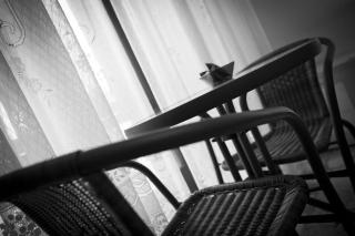 Ladybianca apartment & rooms - Lecce - 8
