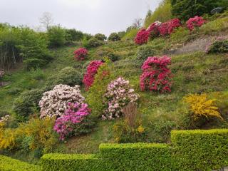 Lo Scoiattolo - Massino Visconti - 7