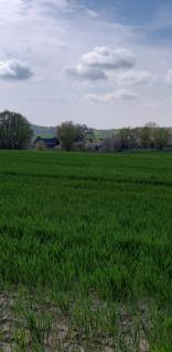 Ferienwohnung Leopold-Risch - Ralswiek - 8