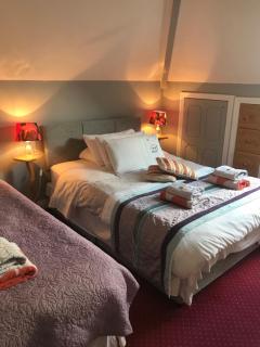 Aurora House Bed And Breakfast - Athy - 8