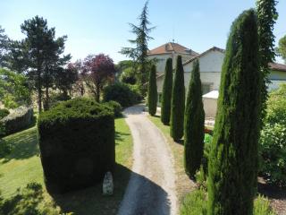 La Maison de Maitre - Sainte-Livrade-sur-Lot - 6