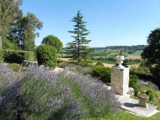 La Maison de Maitre - Sainte-Livrade-sur-Lot - 5