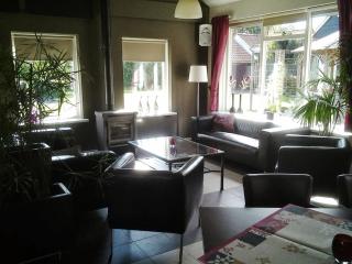 Vakantiehuis De Binnenplaets - Elsloo - 4
