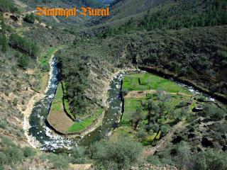 Ramajal Rural - Horcajo - 8