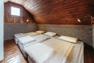 Chalet Tisa Velika Planina - Stahovica - 1
