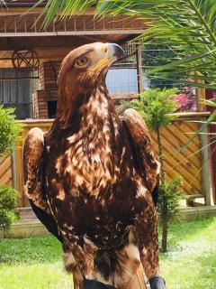 Vacation Home Nukri - Gonio - 2