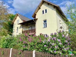 Landhaus Blauer Spatz Reichenau an der Rax - Reichenau - 4