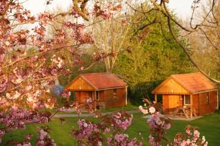 B&B Welgelegen - Workum - 1