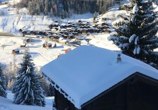 Haus Bortis - Niederwald - 1