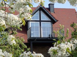 Willkommen in unserem kleinen Paradies - Venningen - 9