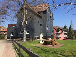 Apartment HarzZwerg - Braunlage - 0