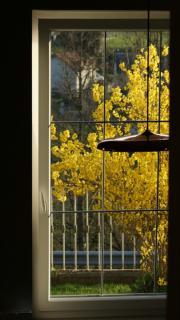 Gite du ROC - Châteauneuf-les-Bains - 3