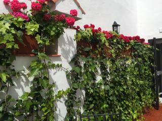 Apartamentos Alfonso XIII - Córdoba - 7