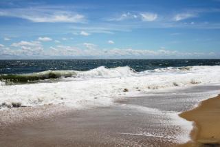 18 Cullen St, Dewey Beach (Seagate) - 7
