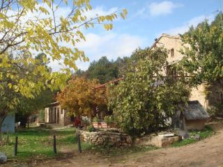 La Casa de la Montaña - Cortes de Arenoso - 6