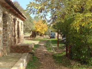La Casa de la Montaña - Cortes de Arenoso - 8