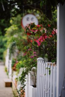 Ancient Street No.5 Youth Chic Hotel - Wuyishan - 7