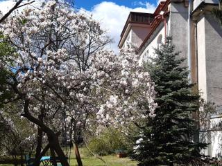 Apartament przy Lipowej - Sopot - 6