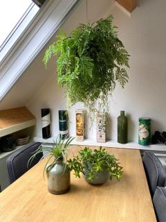 Apartment In de Wolken - 2