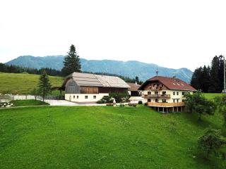 Möselberghof - Abtenau - 7