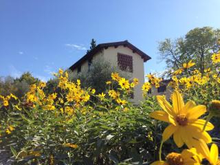Il Poggiolo Delle Rose Bed&Breakfast - Tavarnuzze - 9