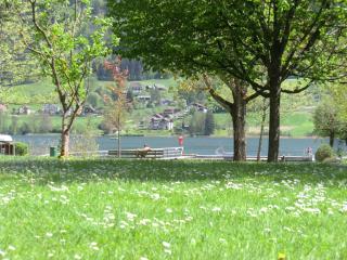 REGINE Haus KMB Seeblick Appartment am Ossiachersee, Hallenbad, Skiarena Gerlitzen - 2