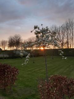 B&B ´t Hof van Kessel - Maren-Kessel - 6