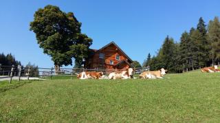 Ferienhaus Bichlhütte - Pruggern - 9