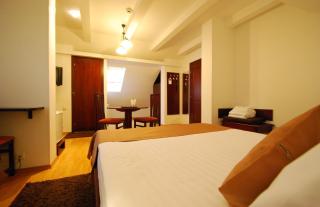 Casa iRMA - Rooms for rent - Bacău - 1