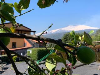 Feudogrande Bio Relais Hotel - Fiumefreddo di Sicilia - 1