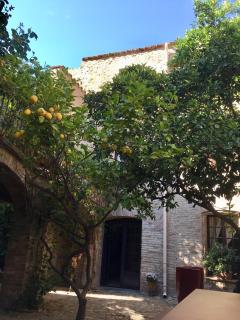 La Vieille Demeure - Torreilles - 7