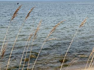 Pokoje Gościnne Wiola - Władysławowo - 9