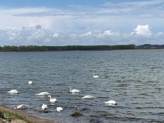 Pokoje Gościnne Wiola - Władysławowo - 8