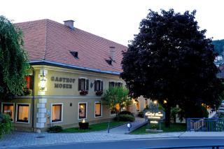 Gasthof Hotel Moser - Guttaring - 6