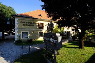 Gasthof Hotel Moser - Guttaring - 1