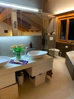 Pegasus - Zweisimmen - 7