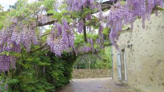 Gîte de la Pommeraie - Landeronde - 2