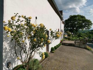 Ferienhaus Vulkaneifel Landhaus Loogh - Kerpen - 7