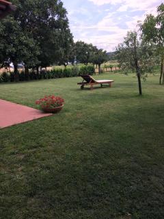 La Macine - Monte San Savino - 6