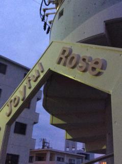 Joyful Rose - Ginowan - 9