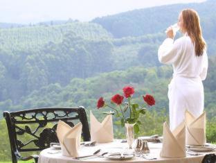Coach House Hotel & Spa Tzaneen - 4