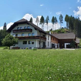 Ferienwohnung Sagmeister Wirtgut St. Andrä - Sankt Andrä im Lungau - 0