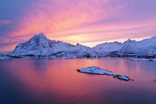 Skårungen - Hotel, Cabins and Camping - 7